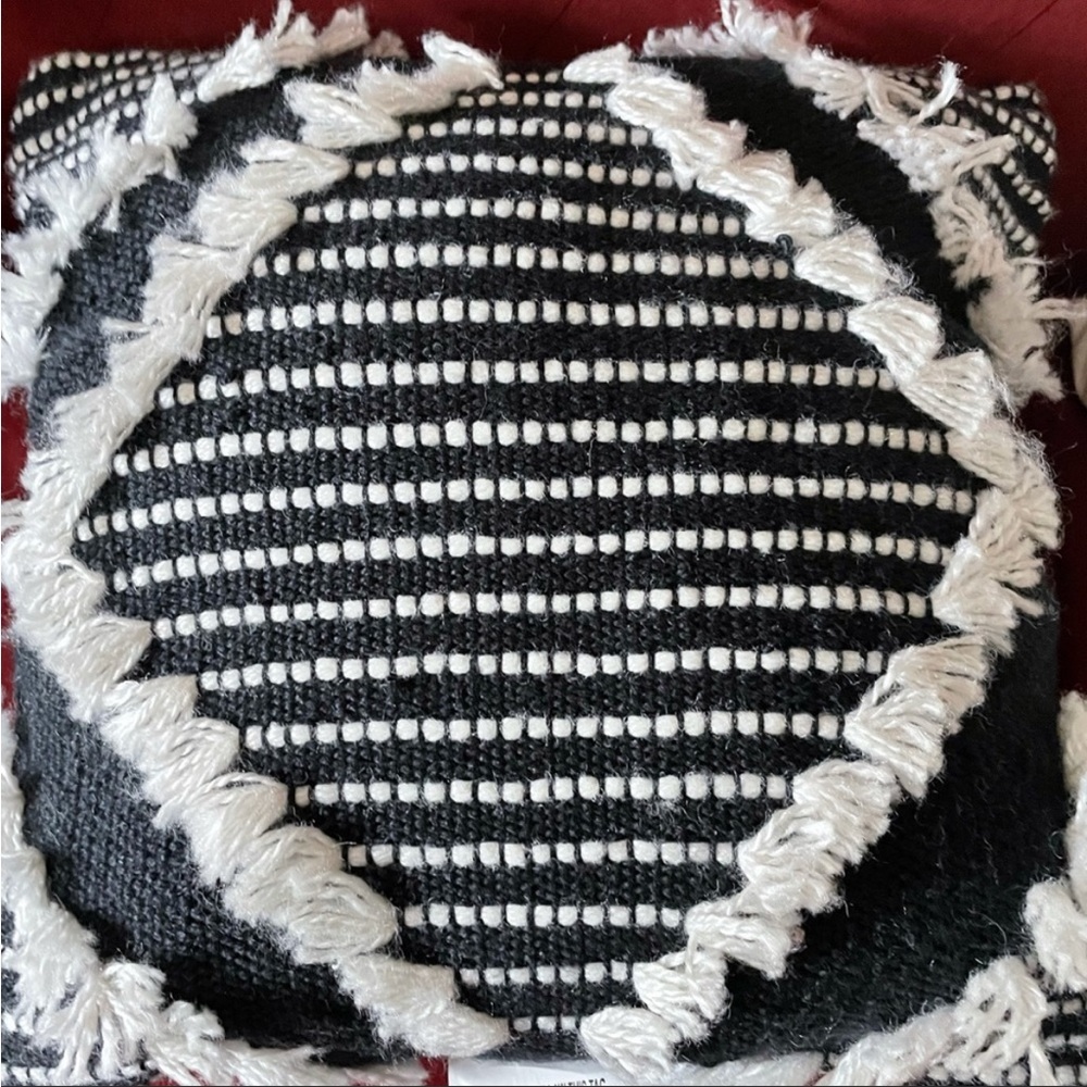 Brand new Allen Roth black and white throw pillow